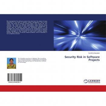 Security Risk in Software Projects