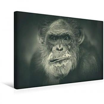 CALVENDO Textil‑Leinwand 45 x 30 cm – Druck „The Old Guy“ (Antje Wenner‑Braun)