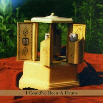 I Could've Been A Drum