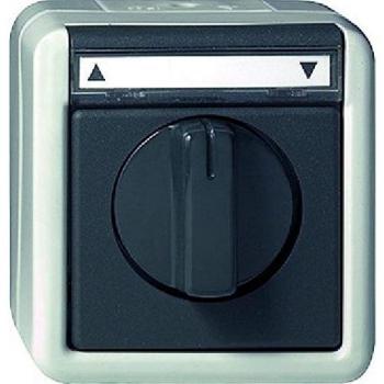 GIRA Jalousietaster/Schalter gr 015430