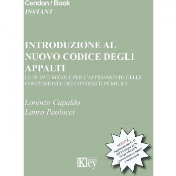 Introduzione al nuovo codice degli appalti. Le nuove regole per l'affidamento delle concessioni e dei contratti pubblici