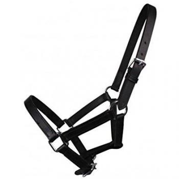 QHP Lederhalfter Halfter Fohlen Chico beige + schwarz (Fohlen, schwarz)