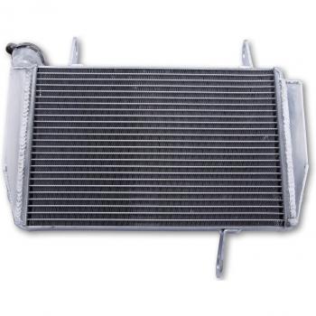 Motoprofessional Cooling System DUCATI Hypermotard Hyperstrada Argentato