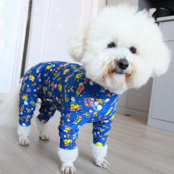 Tenue d'Automne pour Petit Chien