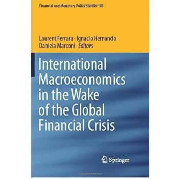 International Macroeconomics in the Wake of the Global Financial Crisis (Financial and Monetary Policy Studies, Band 46)