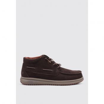Pitas TIMOR 40 Braun