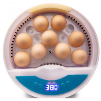 Poultry Egg Incubator
