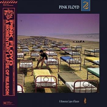 A Momentary Lapse of Reason