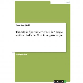 Fußball im Sportunterricht. Eine Analyse unterschiedlicher Vermittlungskonzepte