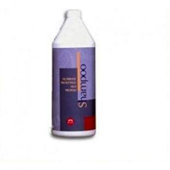 FM Italia Shampoo für Pferde