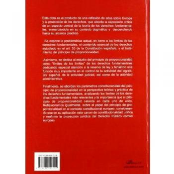 Principio de proporcionalidad y derechos fundamentales: una perspectiva desde el derecho público común europeo