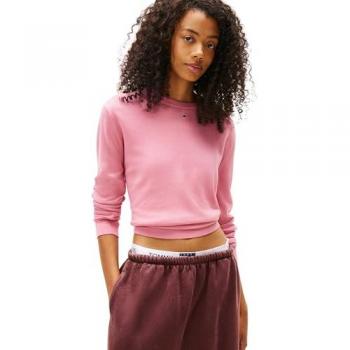 Sweat à capuche Tommy Hilfiger Rose DW0DW20159-THC