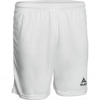 Pisa Classic Fit Shorts