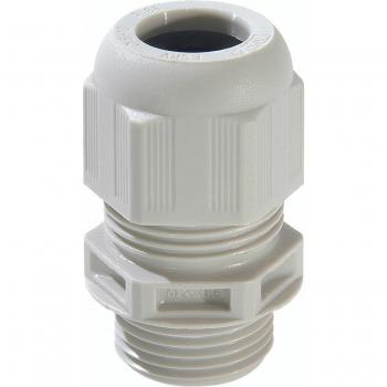 WISKA Kabelverschraubung ESKV 40 M40 10066415
