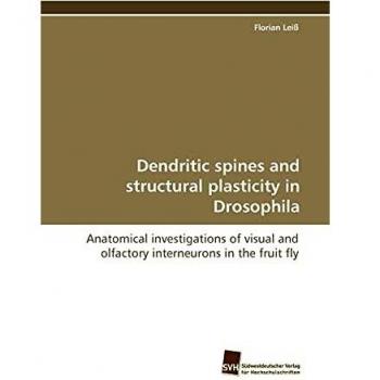 Dendritic spines and structural plasticity in Drosophila: Anatomical investigations of visual and olfactory interneurons in the fruit fly