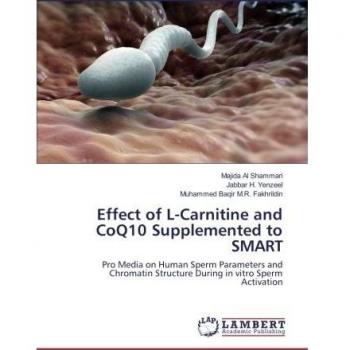 Effect of L-Carnitine and CoQ10 Supplemented to SMART: Pro Media on Human Sperm Parameters and Chromatin Structure During in vitro Sperm Activation