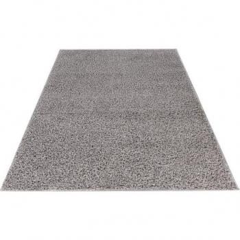 Tapis Bingo Argenté à Poils Longs 80x150