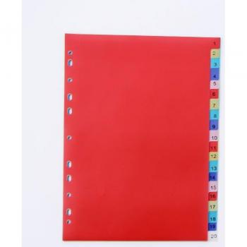 Colored PP A4 Binder with 11 Holes and Dividers