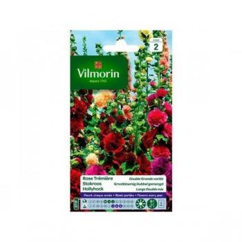 VILMORIN Rose l'Excellente double grande variée