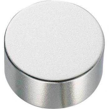 TRU COMPONENTS 10mm x 5mm Permanent Magnet N35