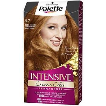 Schwarzkopf Palette Intensive