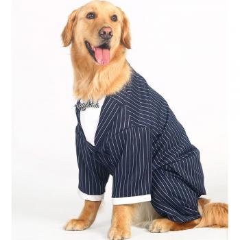 Chemise de chien avec cravate rayée