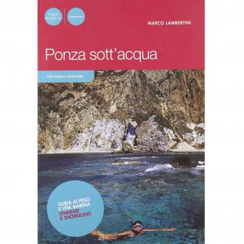 Ponza sott'acqua. Guida ai pesci e altra vita marina. Itinerari snorkeling