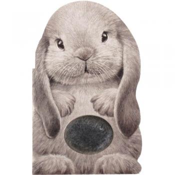 Furry Bunny by Annie Auerbach