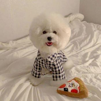 INS Style Korean Cute All-match Dog Shirt Casual Plaid Pet Pajamas For Small Dogs Cats Teddy Chihuahua Bichon Puppy T-shirts