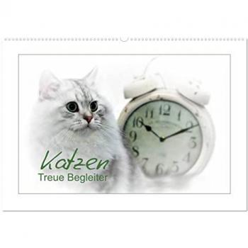 Katzen