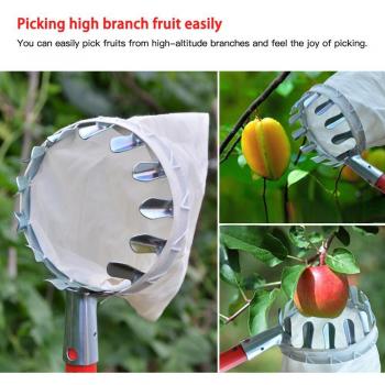 Recolector Portátil de Frutos Metálico