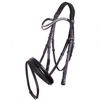 Artemis Bridle QHP