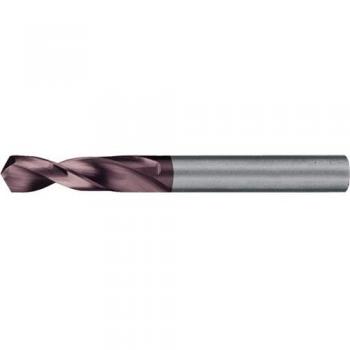 Punta Elicoidale Din 6539 Tipo N 5,1 mm Metallo Duro TiAlN