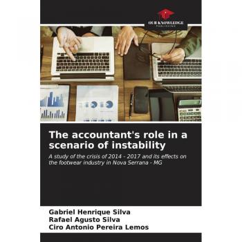 The accountant's role in a scenario of instability
