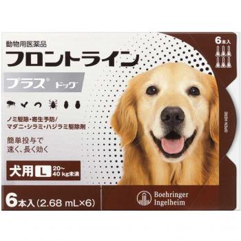 Frontline Plus Medium Weight Dog – 6 x Pipetten (20-40 kg)
