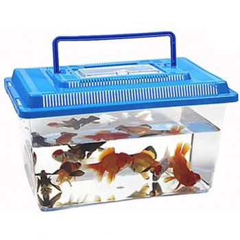 Caja Mágica Cría Animal