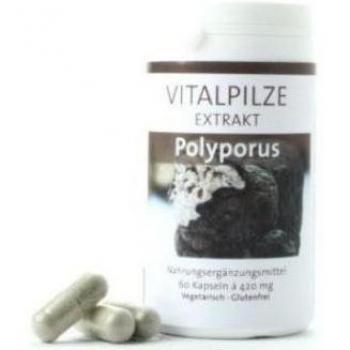 Pilze Polyporus Wohlrab 60 cáps. – Fortalecimiento femenino