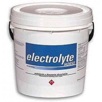 Fm Italia Electrolyte Horse Os Polvere Per Equini 3kg Fm Italia Group Srl Fm Italia Group Srl