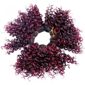 Sallyhair 3pcs Jerry Curly Mixed Color Hair Weft