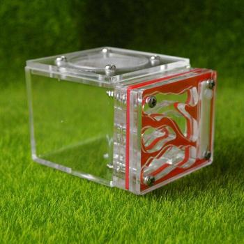Fourmi Transparente : Ferme Mystique