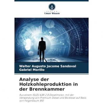 Jácome Sandoval, Walter Augusto: Analyse der Holzkohleproduktion in der Brennkammer