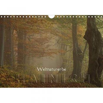 Weltnaturerbe Hainich