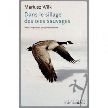 Dans le sillage des oies sauvages