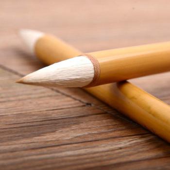 Student Calligraphy Brush Pen