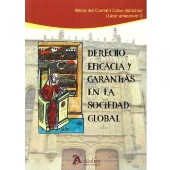 DERECHO,EFICACIA Y GARANTÍAS EN LA SOCIEDAD GLOBAL.(LIBER AMICORUM I)