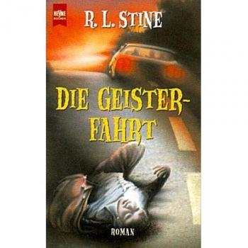 Die Geisterfahrt: Roman