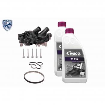 XXL Vemo V15 99 All-in-One Pump & Belt Set