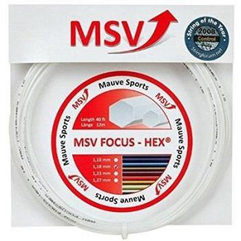 MSV Focus-HEX Sets Individuales 12m