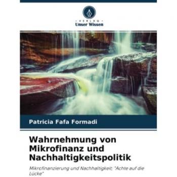 Wahrnehmung von Mikrofinanz und Nachhaltigkeitspolitik: Mikrofinanzierung und Nachhaltigkeit; Achte auf die Lücke