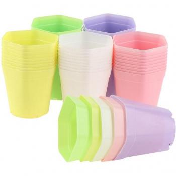 Pot de Fleur Compact Vibrant